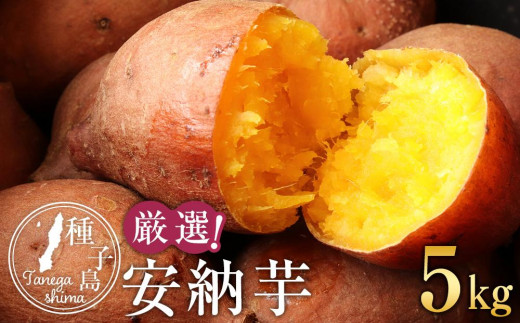 
                  厳選！本場種子島産安納芋５kg【安納芋 安納いも 焼き芋 焼芋 やきいも さつまいも スイーツ デザート おやつ 熟成 蜜 しっとり 甘い  鹿児島県 種子島 中種子町  N131】
                