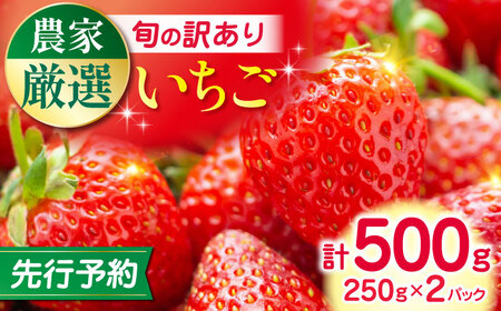 【2025年12月より順次発送】【訳あり】いちご 計500g 訳ありいちご 果物 フルーツ[YBI059]