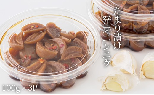 
発芽ニンニクのたまり漬け（100g×3パック）無臭
