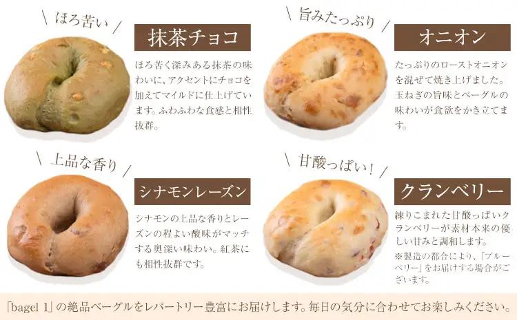 阿蘇の天然水使用 ベーグルセット 7種 10個入 ベーグル・ワン《30日以内に出荷予定(土日祝除く)》熊本県 南阿蘇村 ベーグル パン おやつ 送料無料