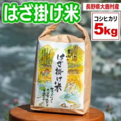 ふるさと納税 大鹿村 はざかけ米(令和8年度産米)5kg 白米