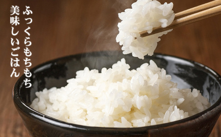 『ひすいの里』2kg《令和7年産》 【新潟県産コシヒカリ 豊かな自然が育んだ美味い米 新潟米 農家自慢 糸魚川 米どころ新潟 米作りのプロ JA こしひかり 美味しい米 おにぎり 精米 こしひかり2k