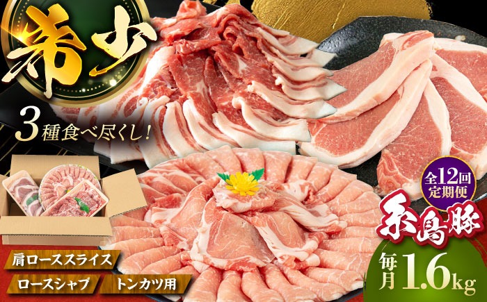 【全12回定期便】糸島 豚 バラエティ セット ( しゃぶしゃぶ / 肩ロース / とんかつ )糸島市 / トラヤミートセンター [AJD012]