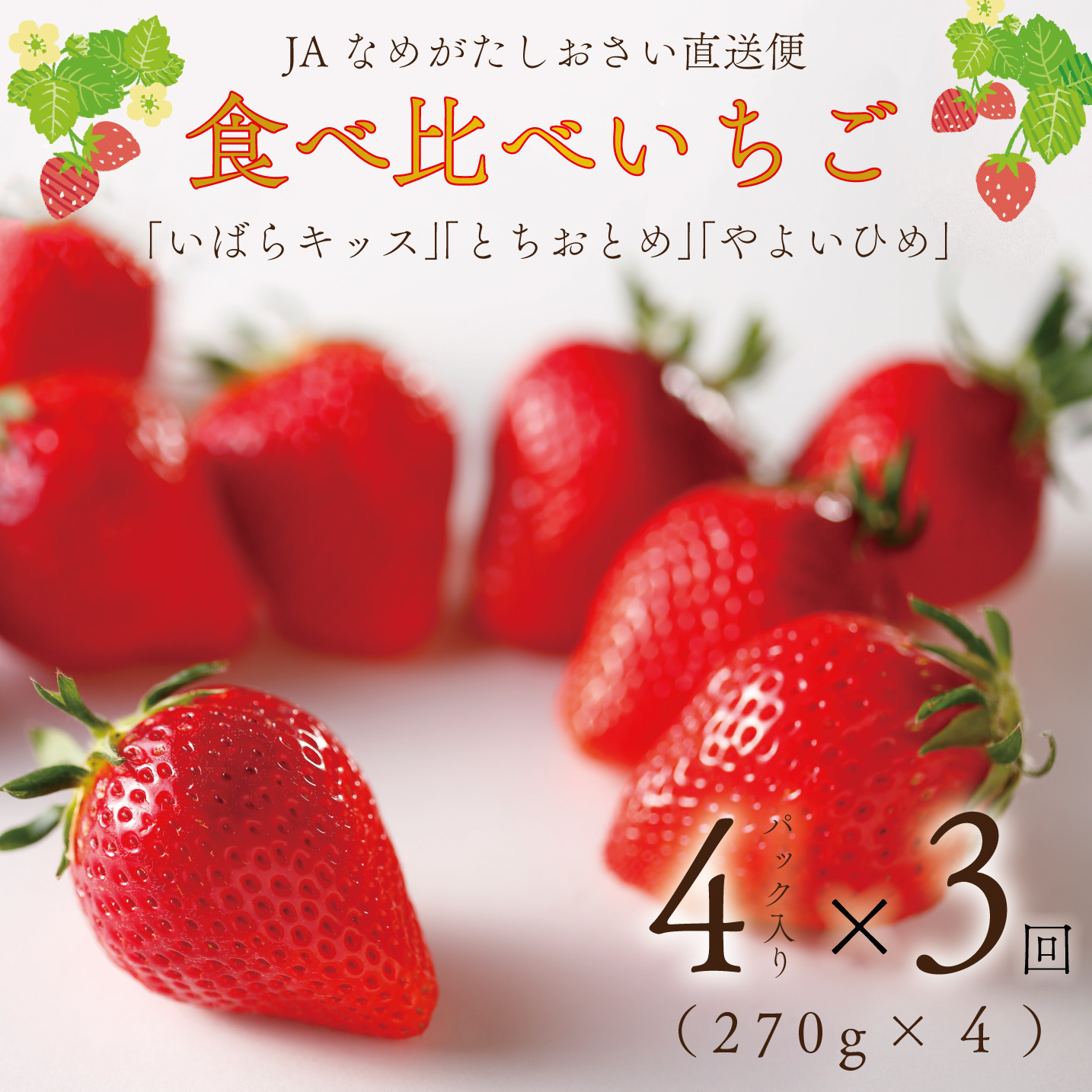 
            【2025年1月より順次発送】【3回定期便】【いちご食べ比べ】「いばらキッス」・「とちおとめ」・「やよいひめ」(4パック入×3回)JAなめがたしおさい直送便(AE-64)
          