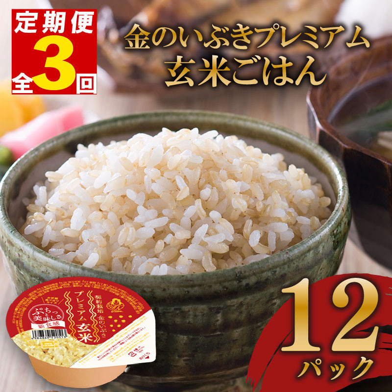 
            定期便 3回 玄米ごはんパック 120g 12個 玄米 米 お米 ごはん ご飯 こめ パックライス パックご飯 パックごはん ご飯パック ごはんパック パック ライス 備蓄 保存 非常 防災 電子 レンジ 温めるだけ レンチン 簡単 健康 ダイエット 美容 ヘルシー 12 12食 レトルト インスタント おいしい 人気 おすすめ 金のいぶき 大阪府 松原市
          