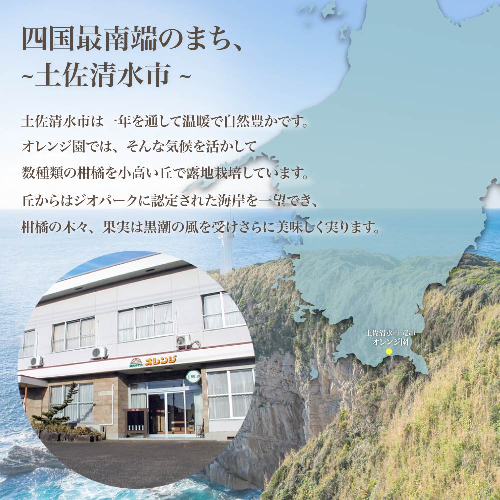 先行予約 訳あり オレンジ園の柑橘3種（ぽんかん・文旦・小夏）各10kg 3回定期便 ポンカン ぶんたん こなつ 果物 蜜柑 みかん ミカン 柑橘 フルーツ デザート 国産 常温 配送【J00103】