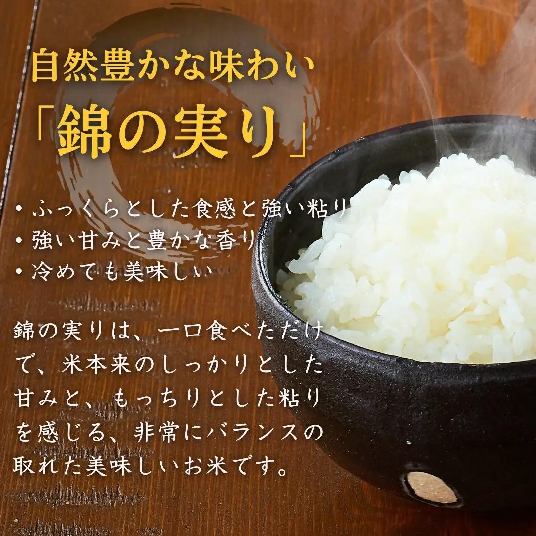 新潟産コシヒカリ 錦の実り Aランク 60kg | 10キロ×6回 定期便 新潟県 小千谷市 ブランド認証 令和7年