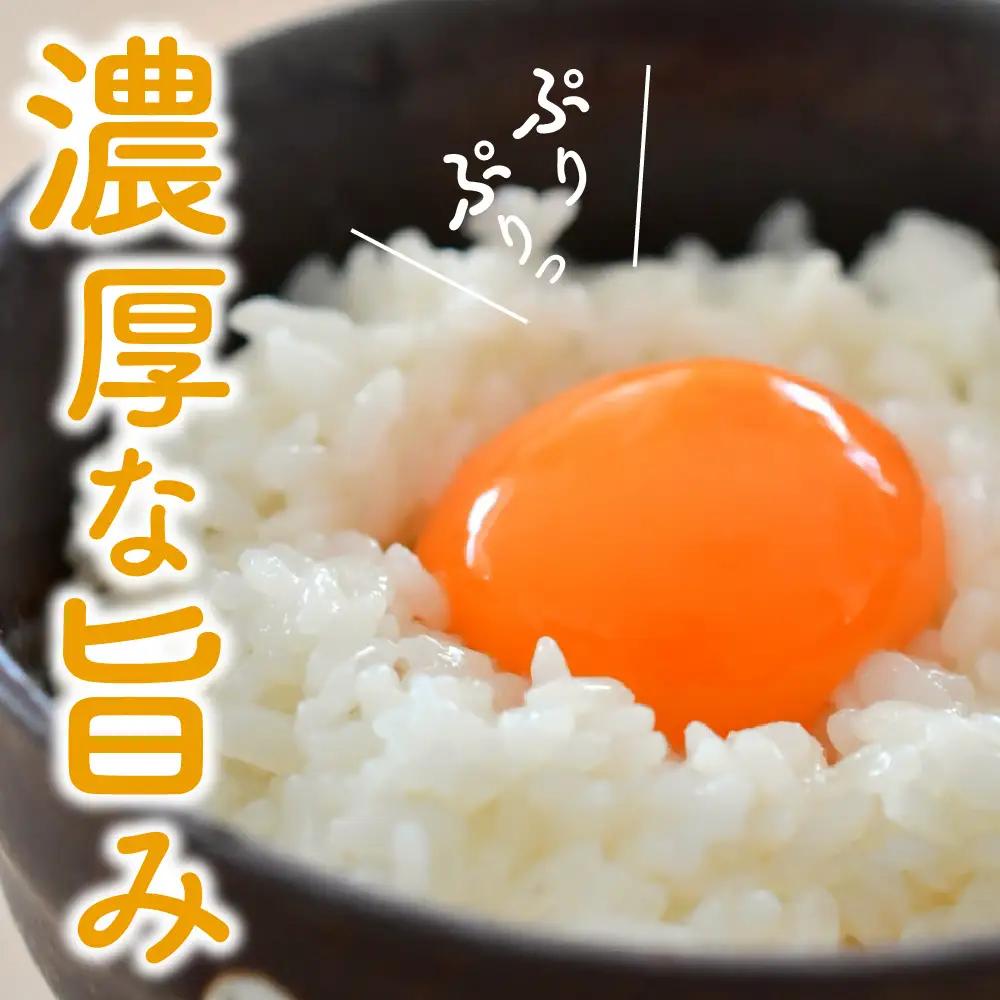 卵 紅花たまご M～Lサイズ 10個×3パック 計30個 卵