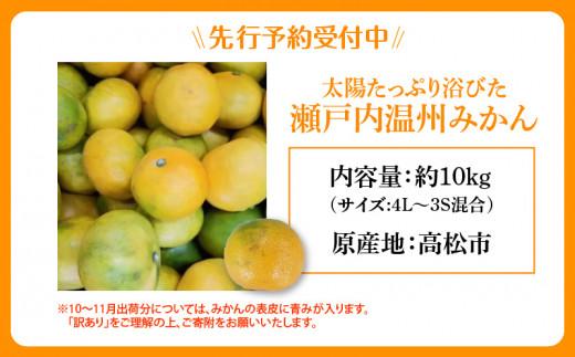 【訳あり】太陽たっぷり浴びた　瀬戸内温州みかん　約10kg【2024-10月上旬～2025-1月中旬配送】