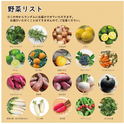 【こだわり秋の野菜詰め合わせセット】Sサイズ　栽培期間中農薬・化学肥料・除草剤不使用の旬野菜【配送不可地域：離島】【1679692】