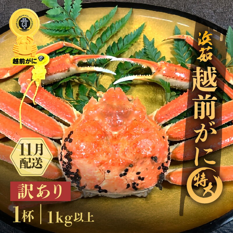 【ふるさと納税】【訳あり】≪浜茹で≫越前がに 特大サイズ 1杯（生で1kg以上）【雄 ズワイガニ かに カニ 蟹 越前ガニ 姿 ボイル 冷蔵 福井県】【11月発送分】希望日指定可 備考欄に希望日をご記入ください [e68-x007_11]