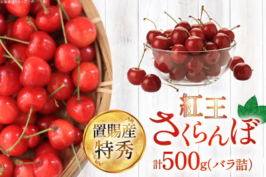 【期間限定発送】 さくらんぼ 置賜産 紅王 特秀 3L 以上 500g [JA山形おきたま 山形県 高畠町 tk06ays870053] サクランボ チェリー 山形 果物 フルーツ くだもの