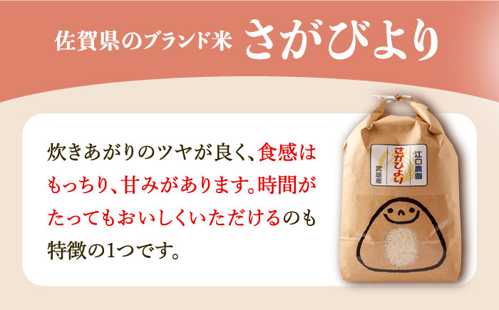 【年内発送】＜15年連続特A評価＞新米 令和7年産 さがびより 白米 5kg 配送前精米 /江口農園 [UBF003] 白米 米 お米 精米 佐賀県産 特A