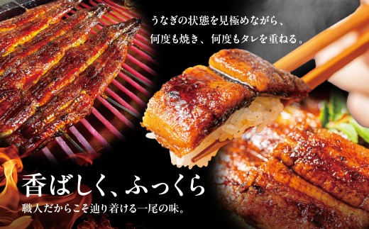 年末配送【12月21日～12月31日お届け】吉田屋美濃錦 うなぎ蒲焼 3尾 国産 うなぎ 蒲焼 国産うなぎ ウナギ 鰻 長蒲焼 かばやき 美味しい 人気 カットうなぎ 国産 ふっくら ギフト お中元 