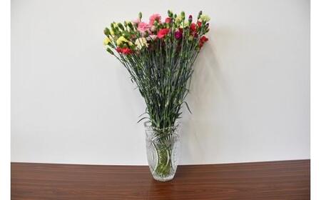 宮田村産『カーネーション』の花束（通常発送、11月～翌3月発送）[ カーネーション 花束 ]