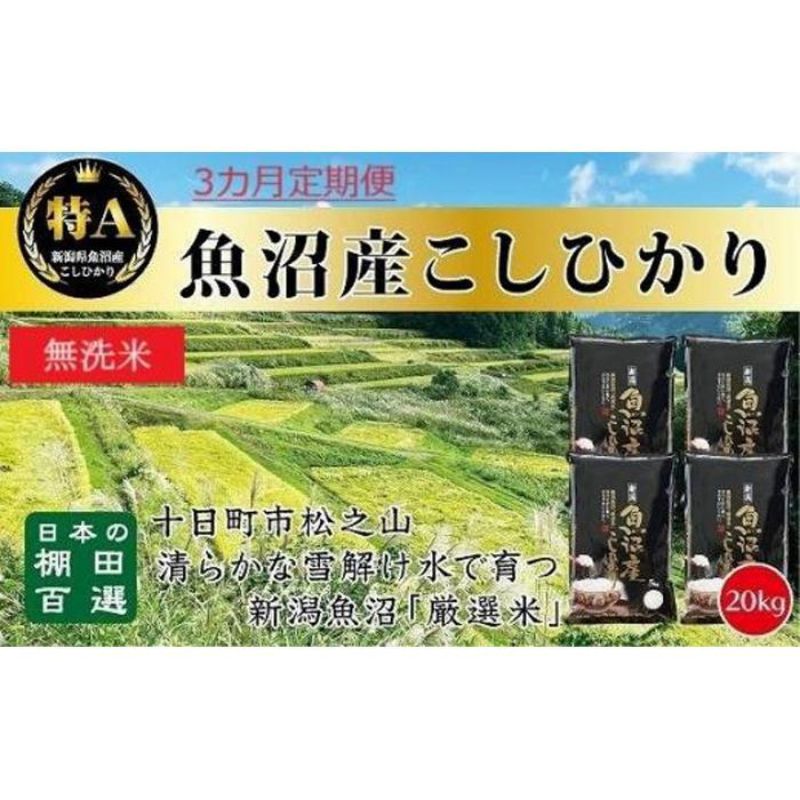 【ふるさと納税】【令和7年産新米予約】 【食味鑑定士厳選】無洗米 3カ月 定期便 日本棚田百選のお米 天空の里 魚沼産 こしひかり 20kg(5kg×4)×3回 米 お米 コメ　お届け：令和7年10月下旬（10月21日～）