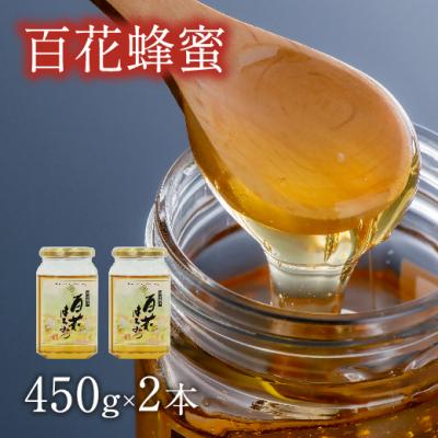 ふるさと納税 豊後高田市 国産百花蜜(はちみつ・450g×2) はちみつ 蜂蜜 百花蜜 国産はちみつ 調味料 備蓄