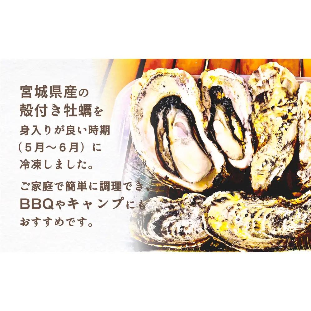 殻付きかき レンジ1P 簡単調理 BBQ 牡蠣 カキ 蒸し牡蠣 三陸 海鮮 魚介 海鮮物 レンジで簡単調理 