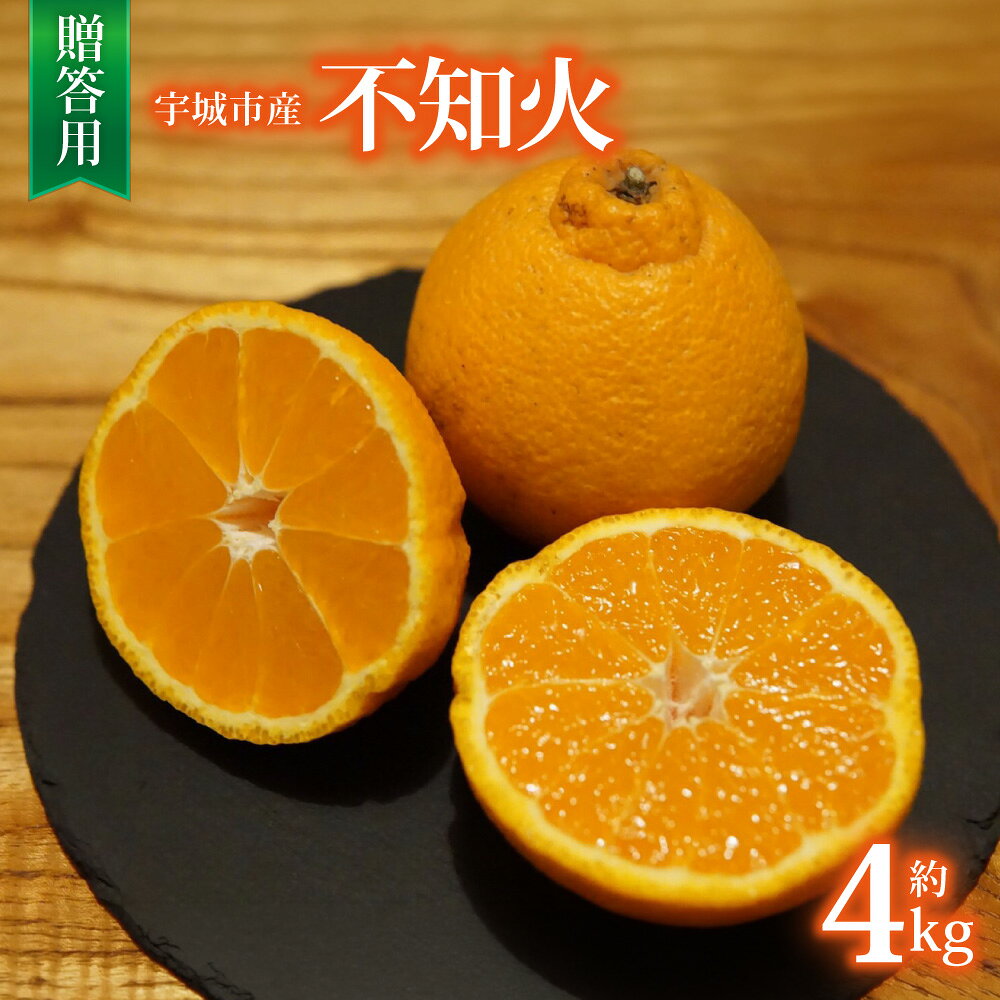 【ふるさと納税】 先行予約 宇城市産 不知火 約4kg 15玉前後 贈答用 【2027年2月上旬から3月下旬頃発送予定】果物 くだもの フルーツ 柑橘 かんきつ みかん ミカン しらぬい 清見 ポンカン 交配種 国産 産地直送 高糖度 酸味 バランス さっぱり 熊本県 宇城市 ひでみかん