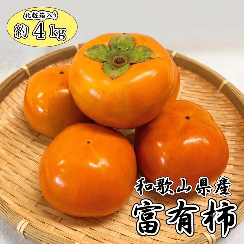和歌山秋の味覚　富有柿　約４ｋｇ化粧箱入【2026年11月上旬頃～2026年12月上旬頃発送予定】【UT50】【Z012-uot703】