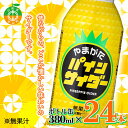 【ふるさと納税】やまがたパインサイダー ボトル缶 380ml×24本 懐かしい 南国フルーツ 地再エアー 強炭酸 山形 F4A-0263