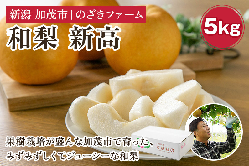 
            【2025年先行予約】新潟県加茂市産 和梨 新高5kg（6～12玉）〈10月上旬～順次出荷〉 なし ナシ にいたか 果物 フルーツ 秋の味覚 加茂市 のざきファーム
          