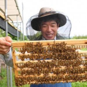 日本産100%ローヤルゼリーカプセル　ローヤルゼリー専門養蜂場アズマ養蜂場からお届けします。【1704321】