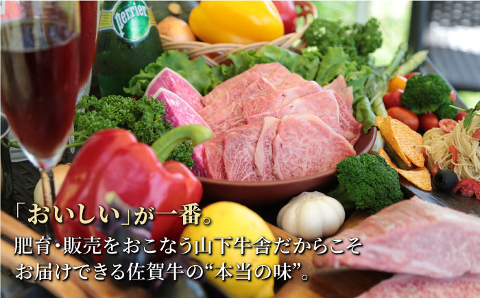【霜降り A5ランク】佐賀牛 ロース 焼肉用 800g (400g×2パック)【山下牛舎】 [HAD051]