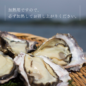 牡蠣 殻付き 1.5kg 前後 10個 ～ 15個  海鮮 魚介 加熱 調理用 貝 海産物 シーフード カキ オイスター 生かき カキフライ 牡蠣 オイスター 加熱調理用 酒蒸し 冬 日本海 育成 養