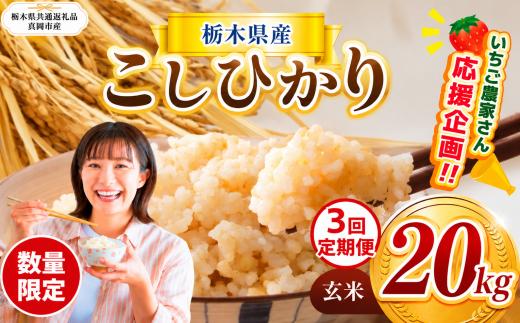 【定期3回】 新米 訳あり 定期便 数量 限定 令和8年度産 コシヒカリ こしひかり 約 20kg| こしひかり コシヒカリ 定期便 okome kome 日本米 栃木県産 ご飯 米 お米 玄米 白米 ごはん おいしい  ふるさと納税 那珂川町 栃木県 送料無料【栃木県共通返礼品】