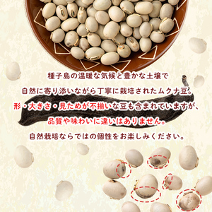 n428 ムクナ豆 200g 八升豆 ハッショウ豆 【永濱農園】