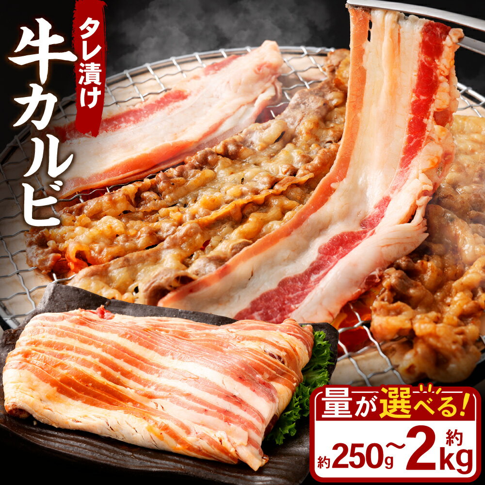 【ふるさと納税】＜選べる容量＞ タレ漬け 牛カルビ 250g 1.0kg 1.5kg 2.0kg 1パック～8パック 1パックあたり250g 小分け 牛肉 牛 お肉 肉 たれ タレ 味付き カルビ 焼き肉 焼肉 BBQ 冷凍 岡山県 奈義町 送料無料