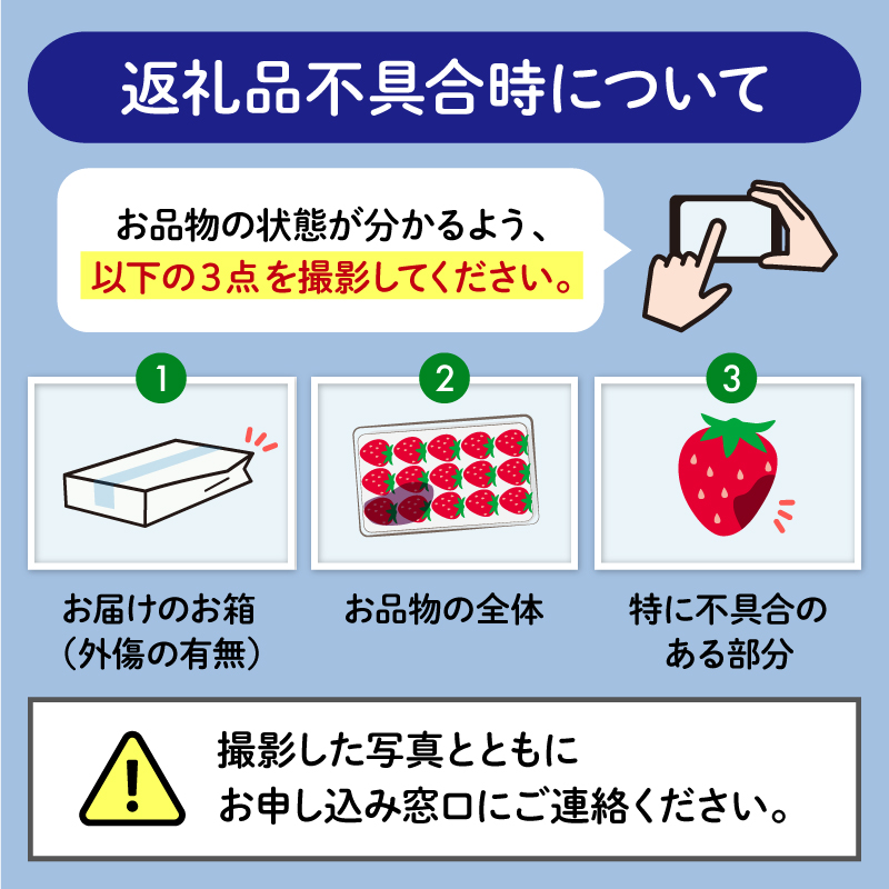 【先行予約 : 2025年1月～2025年2月発送予定 】 いちご きらぴ香 約1kg 約250g×4パック 朝どれ 完熟 苺 産地 直送 フレッシュ イチゴ 贈答 フルーツ 果物 国産 静岡県 藤枝