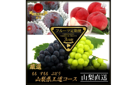 ＜発送月固定定期便＞フルーツ定期便全3回【4066756】