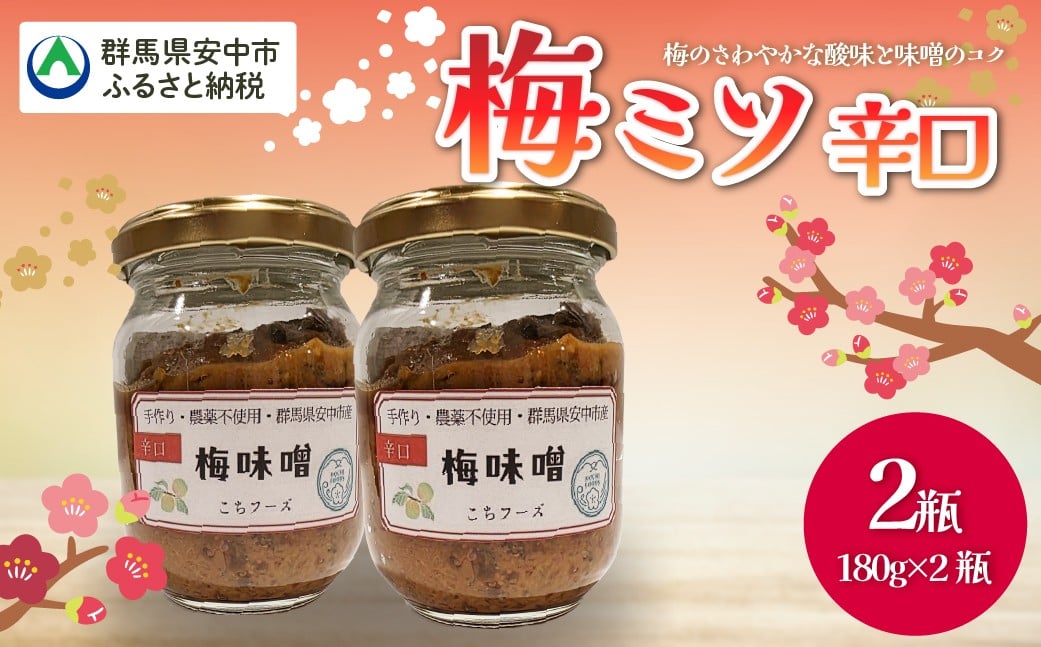 
                  梅ミソ（辛口）ANBN003  群馬県 安中市
                