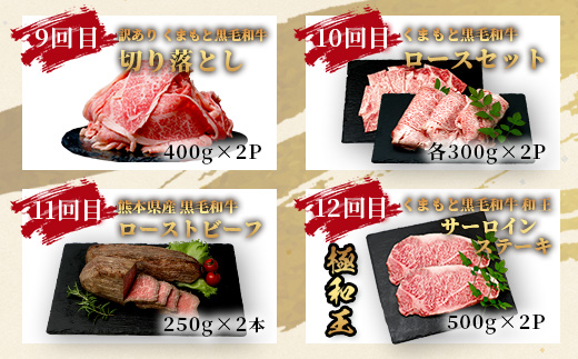 【定期便12回】くまもと 黒毛和牛 を味わい尽くす！1年12回配送 定期便 【合計 9.06kg】本場 熊本 黒毛 和牛 ブランド 牛 肉 すき焼き 焼肉 しゃぶしゃぶ ハンバーグ ステーキ ロースト