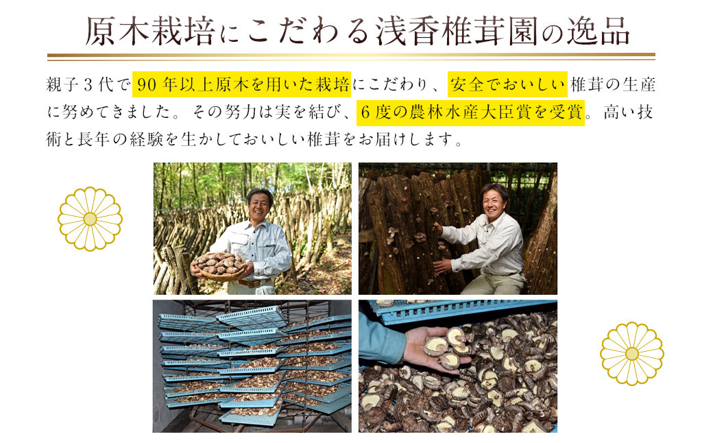 原木栽培椎茸 家庭用どんこ