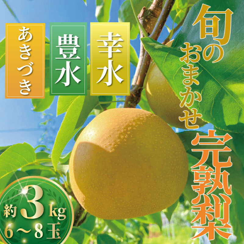【ふるさと納税】梨 なし ナシ 約3kg 6～8玉【8月下旬発送】くだもの 果物 フルーツ nasi 旬 新鮮 完熟 先行予約 数量限定 産地直送 農家直送 幸水 豊水 あきづき プレゼント ギフト 贈り物 有機肥料 冷蔵 鈴木園 神奈川 湘南 藤沢