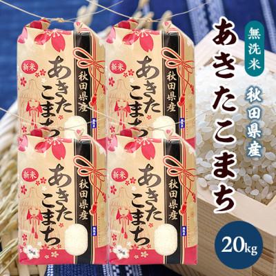 ふるさと納税 横手市 あきたこまち 20kg【無洗米】秋田県産 こまちライン