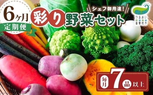 【 6ヶ月 定期便】シェフ御用達！ 農園自慢 ★ 彩り 野菜セット（ 7品 目以上～）旬 野菜 詰め合わせ 定期 シェフ御用達 国産 岩手 うるおい春夏秋冬 国産 岩手県 北上市 J0076 季節の野菜 にんじん なす キャベツ たまねぎ 西洋野菜 紫人参 黄色人参 丸なす 水なす 長なす とうがらし カラフル 野菜 産地直送 送料無料