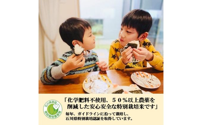 【日本農業賞大賞】厳選プレミアム米4.5kg精白米(特別栽培米コシヒカリ)【定期便3カ月連続】　有限会社　岡元農場