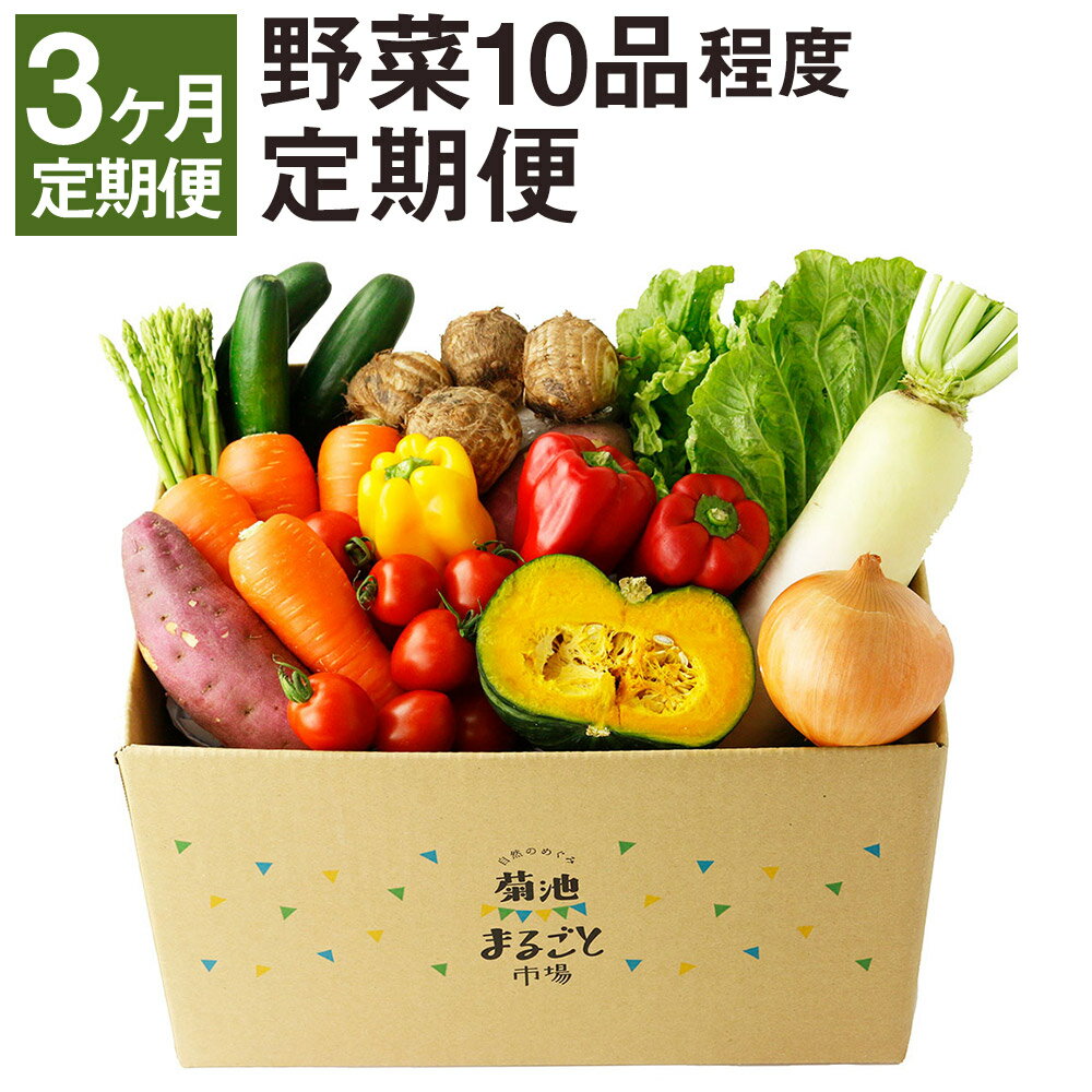 【ふるさと納税】【定期便 計3回】 野菜 10品程度 【メロンドーム】 定期便 3ヶ月お届け 詰め合わせ セット 国産 九州産 熊本県 菊池市 道の駅 送料無料《お申し込みの翌月から出荷》