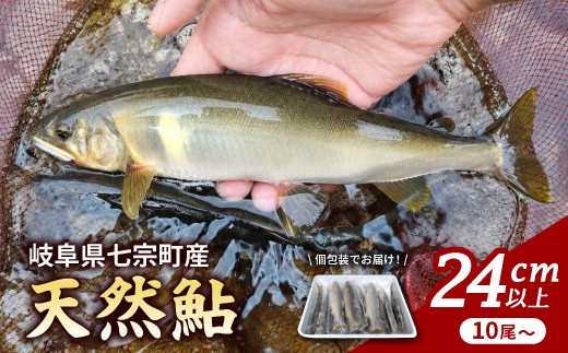 
                  岐阜県産 天然鮎 10尾以上 (24cm以上) 七宗町産 冷凍 鮎 あゆ アユ 直送 天然 魚 川魚 ※2026年7月中旬より順次発送予定 ◇
                