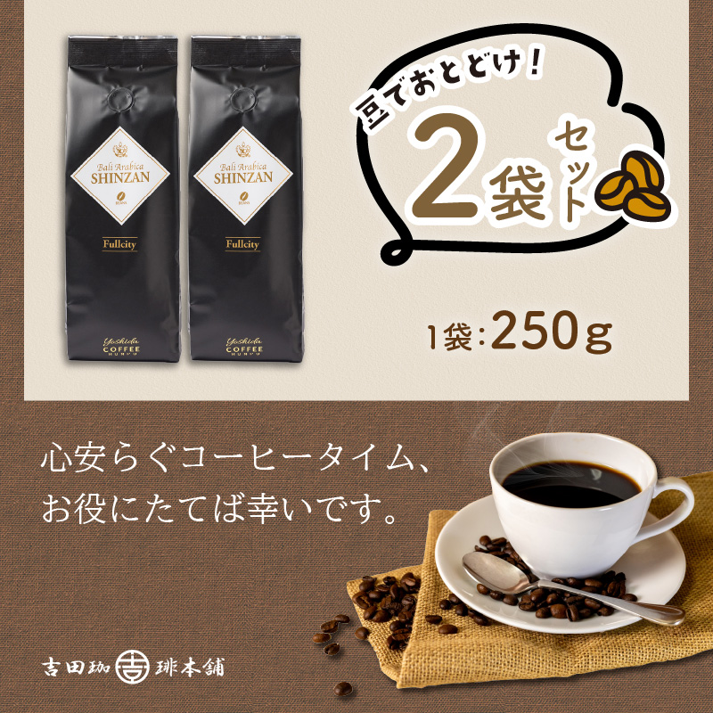 バリ・アラビカ神山フルシティ 250g×2袋／豆【配送不可地域：北海道・沖縄・離島】【010D-056】