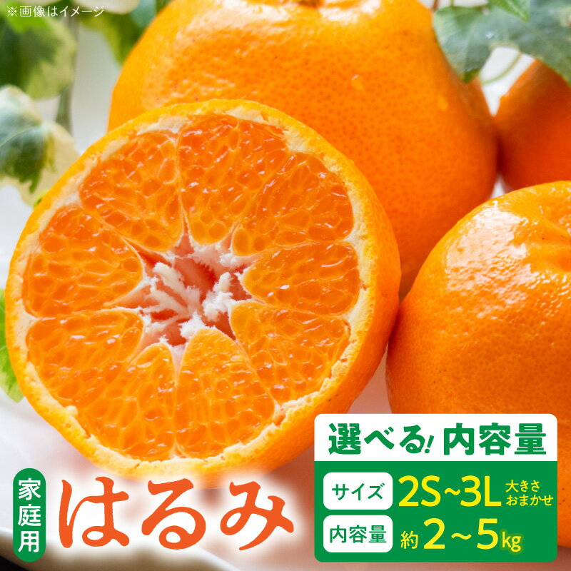 【ふるさと納税】【限定】【2026年先行予約】 ご家庭用 はるみ 和歌山 有田 2S ～ 3L サイズ 大きさお任せ 選べる 内容量 約2kg ～ 約5kg 和歌山県 湯浅町 送料無料