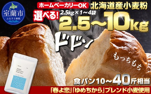 
                  【選べる内容量・回数】北海道産 小麦粉 「春よ恋」「ゆめちから」ブレンド小麦粉 パウダースノー（パン用強力粉）2.5～10kg 【 ふるさと納税 人気 おすすめ ランキング 小麦 小麦粉 粉 春よ恋 ゆめちから ブレンド パウダースノー パン用 強力粉 穀物 国産 北海道産 こむぎ こむぎこ  ギフト 贈答 プレゼント 贈り物 北海道 室蘭市 送料無料 】 MROBI009-s
                