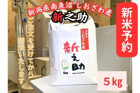 【令和8年産・新米予約】新潟県南魚沼産　新之助　5kg　大粒でツヤがあるこれまでにないお米【2026年10月中旬より1ヶ月以内に順次発送予定】