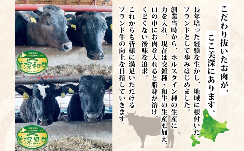 美深町 肉のはたのハンバーグ 2個 500g×2 冷凍 ギフト 詰め合わせ 和牛 牛肉 お弁当 ランチ 昼食 夕食 おかず 総菜 バーベキュー ハンドメイド 手作り 美深黒牛 ブランド 霜降り 団らん