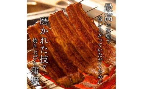 【丑の日までにお届け！】 ひむか 山道うなぎ 蒲焼3尾分 (390g以上) 【国産 九州産 宮崎県産 うなぎ ウナギ 鰻 鰻の蒲焼き 蒲焼 】 [C08402]