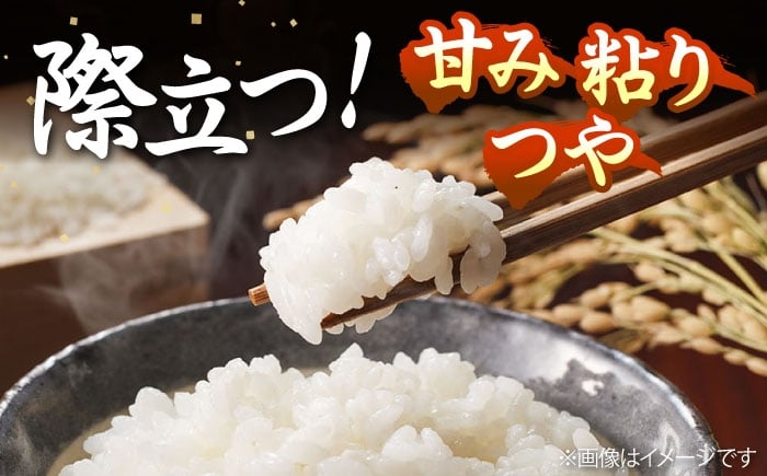 人気 贈り物 ギフト